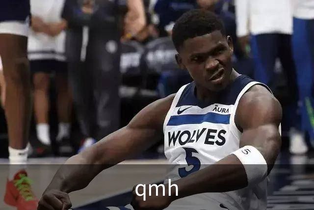 qmh公司介绍